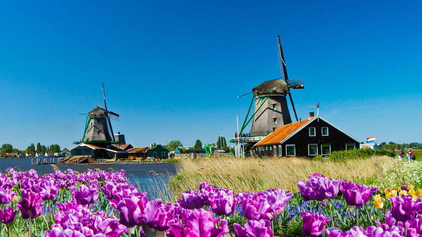 Holland & Belgium in Bloom