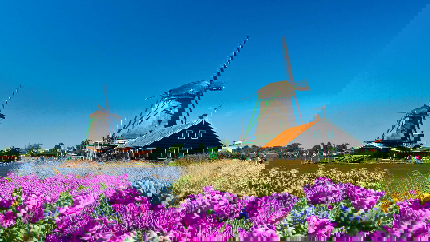 Holland & Belgium in Bloom