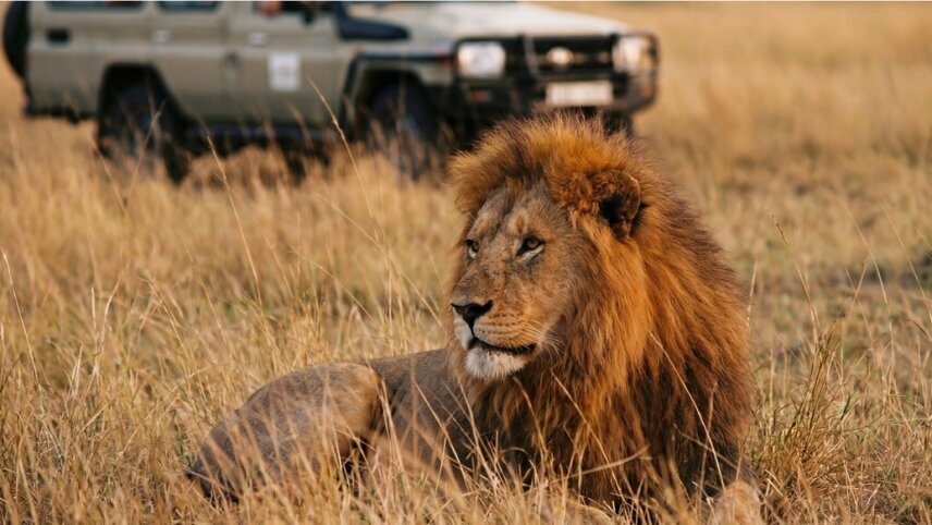 Safari, The Seychelles and Indian Ocean