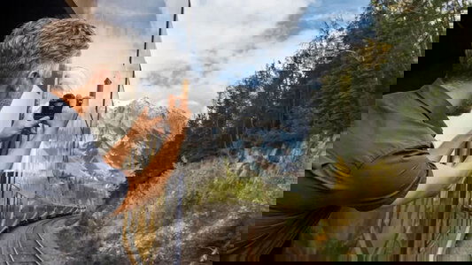 40 Years of Experience