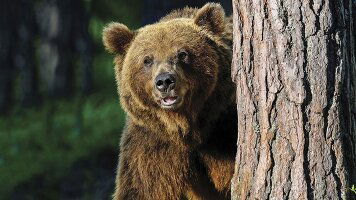 19 Day Rockies Grandeur & Best of the East (Emerald Tours)