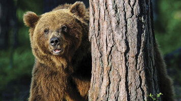 19 Day Rockies Grandeur & Best of the East (Emerald Tours)