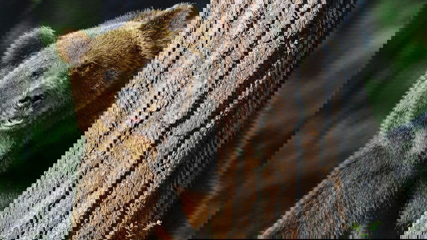 Rockies Grandeur & Best of the East