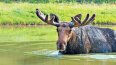 12 Day Rockies Grandeur (Emerald Tours)