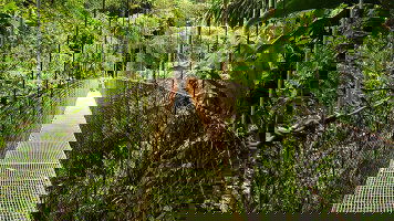 Exodus Cultural Adventures