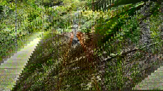 Exodus Cultural Adventures