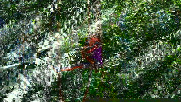 About Exodus Travels