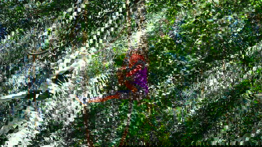 Exodus Family Adventures