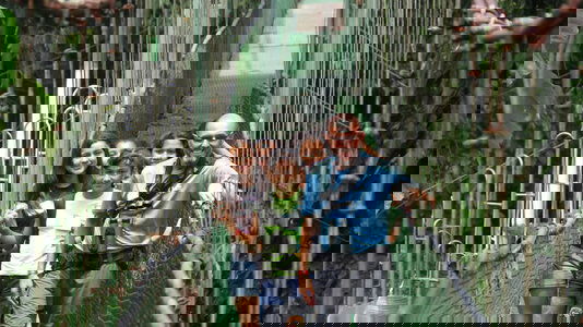 Local Insights from Expert Leaders 