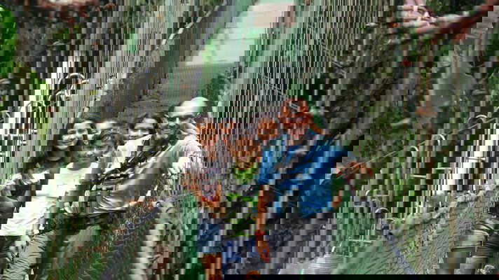 Local Insights from Expert Leaders