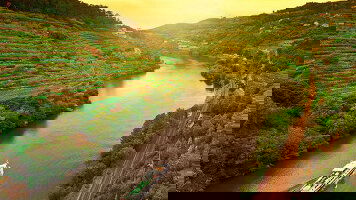 Exodus Premium Adventures