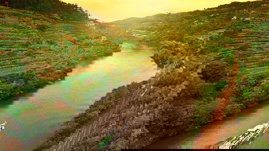 Exodus Premium Adventures