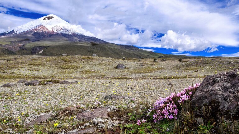 Highlights of Ecuador: Andes to Amazon