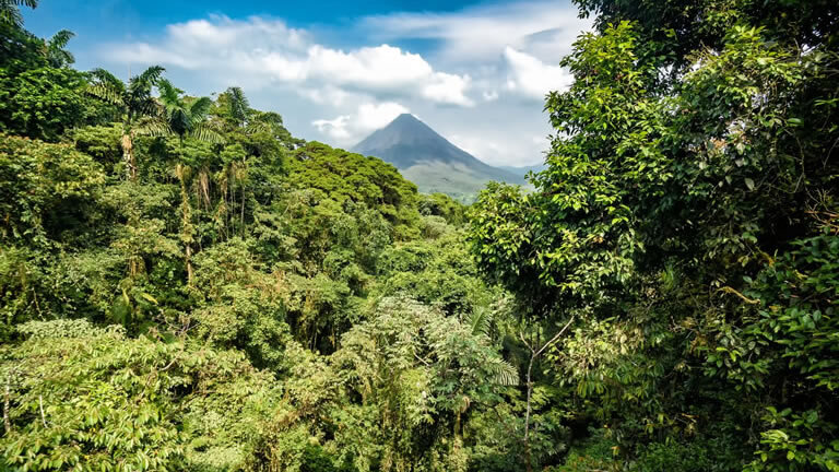 Costa Rica Adventure
