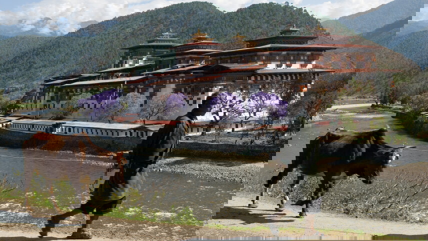 Festivals of Bhutan – Paro