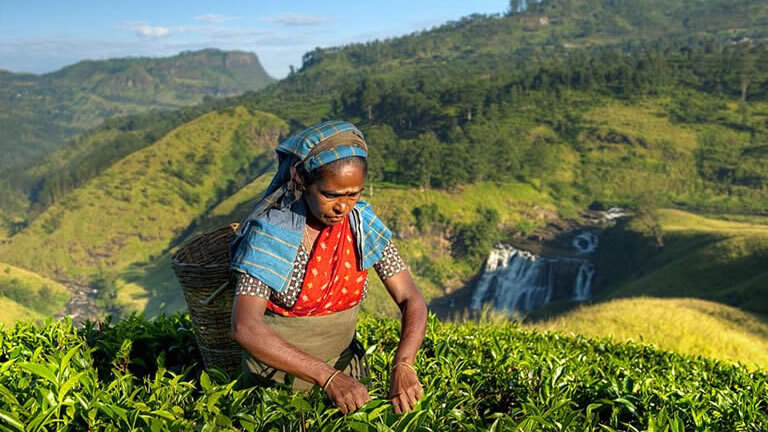 Discover South Korea