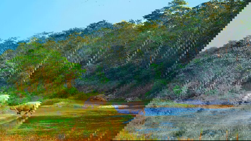 Highlights of Northern India & Nepal