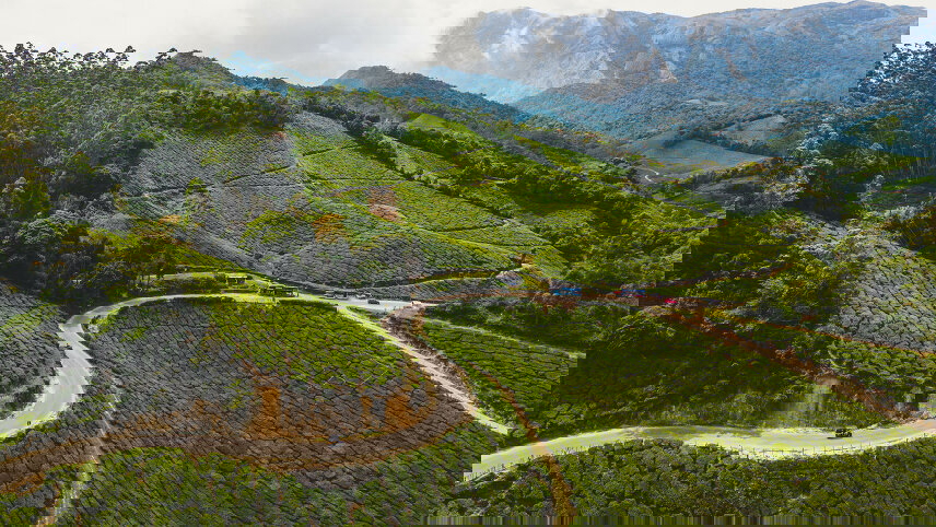 Kerala & the Tropical South