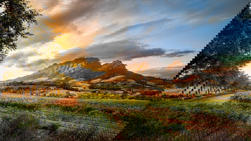 Cape Town & the Garden Route - Premium Adventure