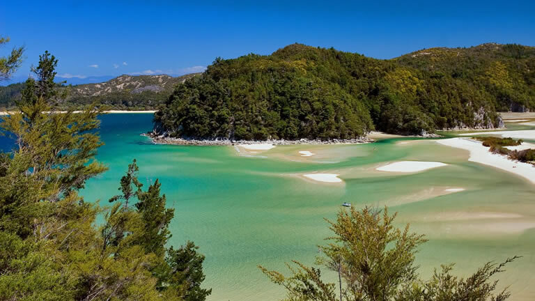 Discover New Zealand