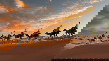 15 Day Highlights of Morocco (Exodus)