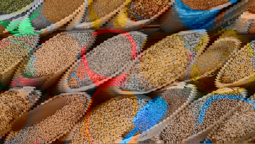 Highlights of Morocco