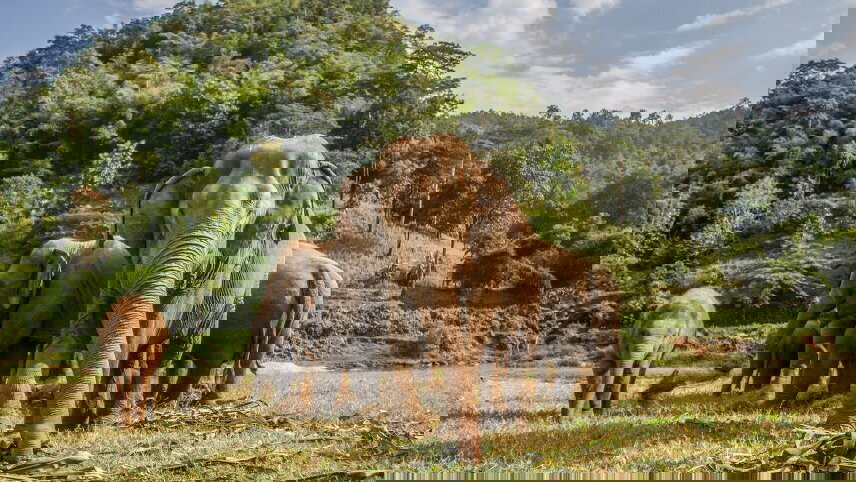 Highlights of Northern Thailand