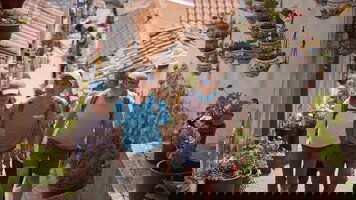 15 Day Essential Peru (Exodus)