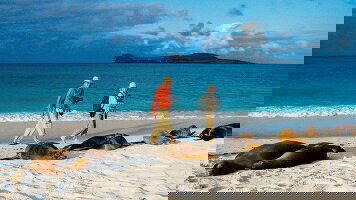 15 Day Machu Picchu & Galapagos (Exodus)