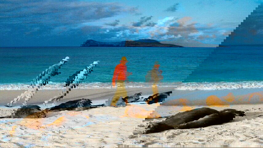 Machu Picchu & Galapagos