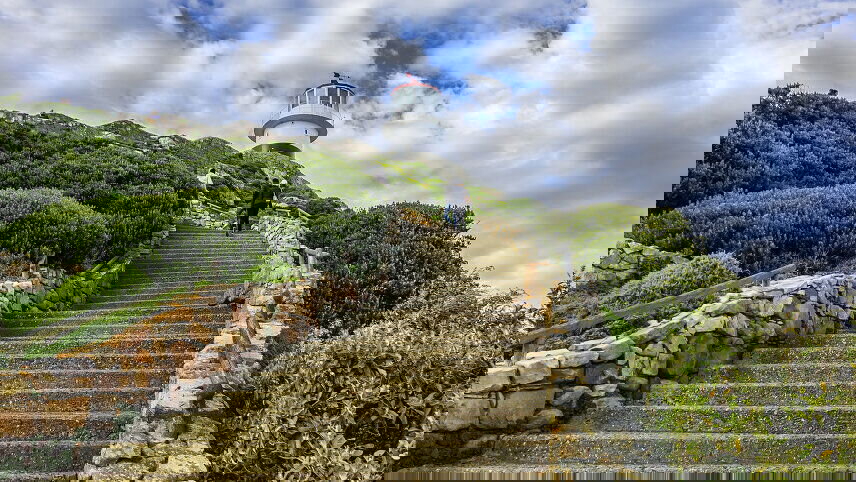 Highlights of South Africa's Winelands