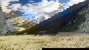 23 Day The Five Stans of the Silk Road (Exodus)