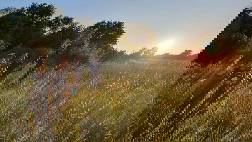 Botswana & Namibia: Delta & Dunes