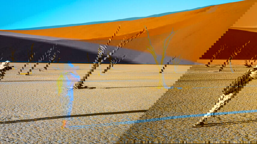 Botswana & Namibia: Delta & Dunes