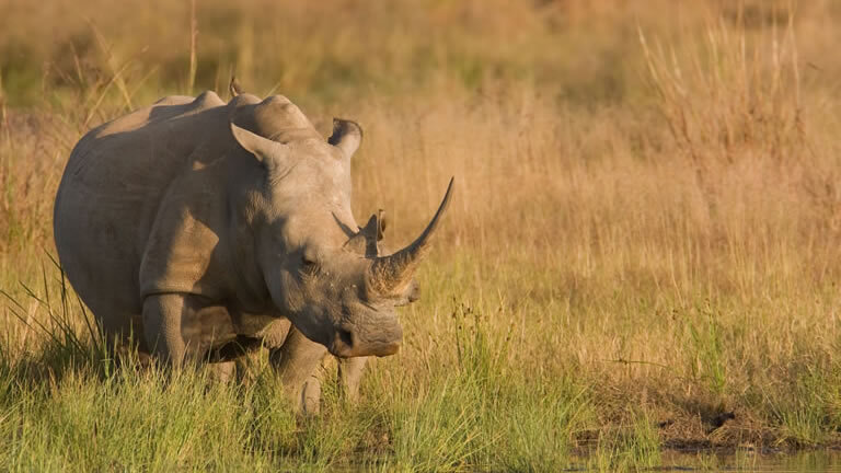 Cape Town to Johannesburg