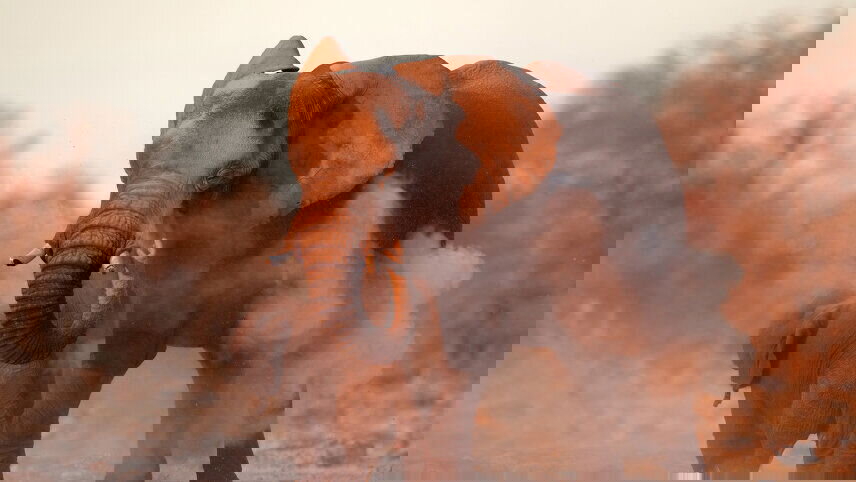 Discover Namibia - Lodges