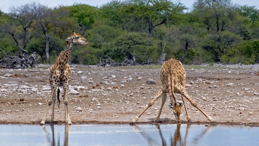 Victoria Falls to Cape Town - Camping