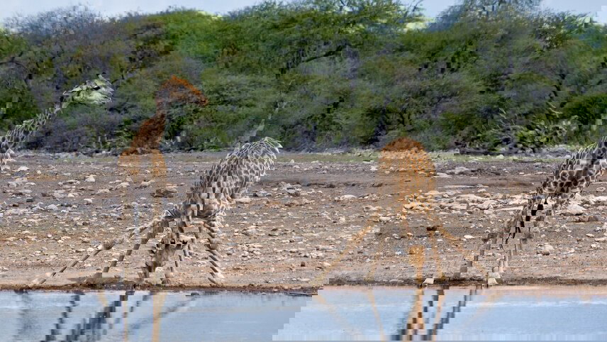 Victoria Falls to Cape Town - Camping