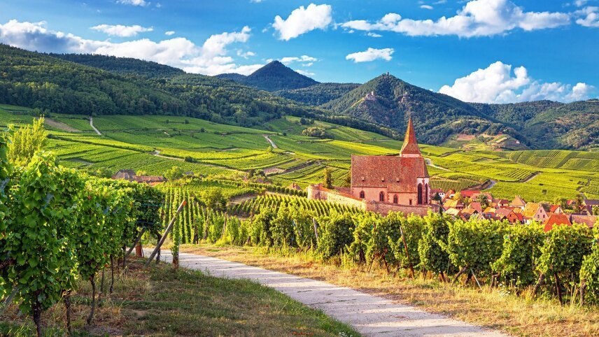 Cycling the Wine Route of Alsace