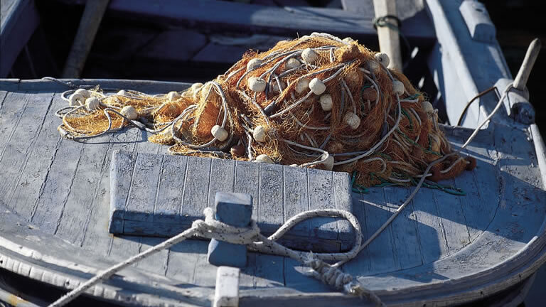 Coastal Croatia: Pula to Porec Cycling