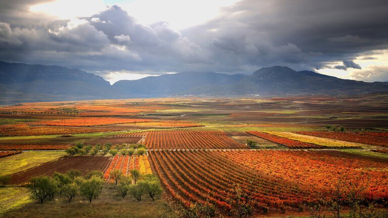 Vineyards of La Rioja Cycling - Exodus (8 Days From Logrono to Logrono)