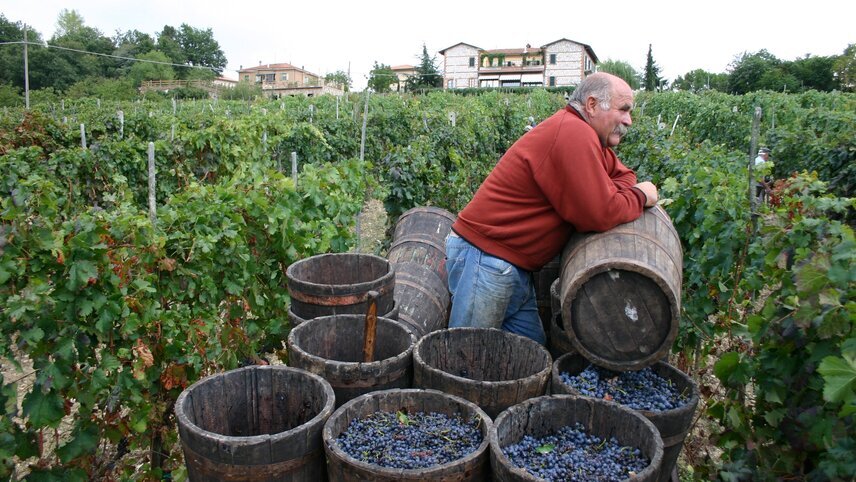 A Taste of Tuscany Cycling