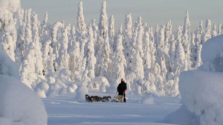 8 Day Finnish Wilderness Week (Exodus Adventure Travels)