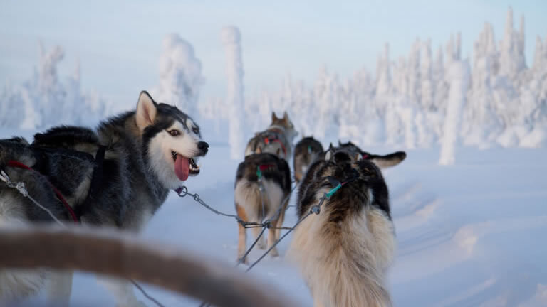 Finnish Wilderness Week