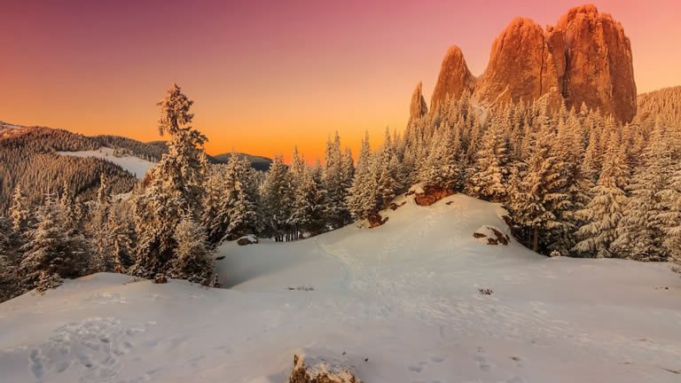 Transylvania Winter Walk & Snowshoe