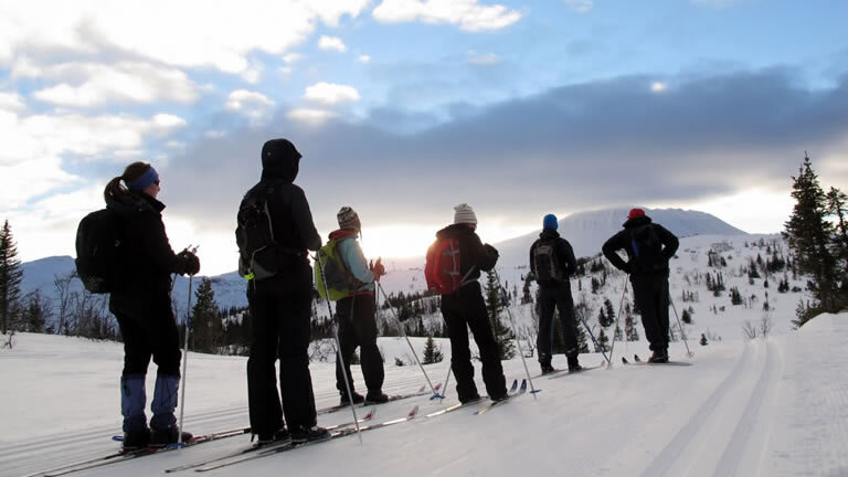 Norway Cross-country Skiing