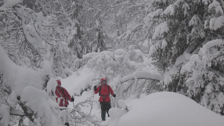 Norway Cross-country Skiing