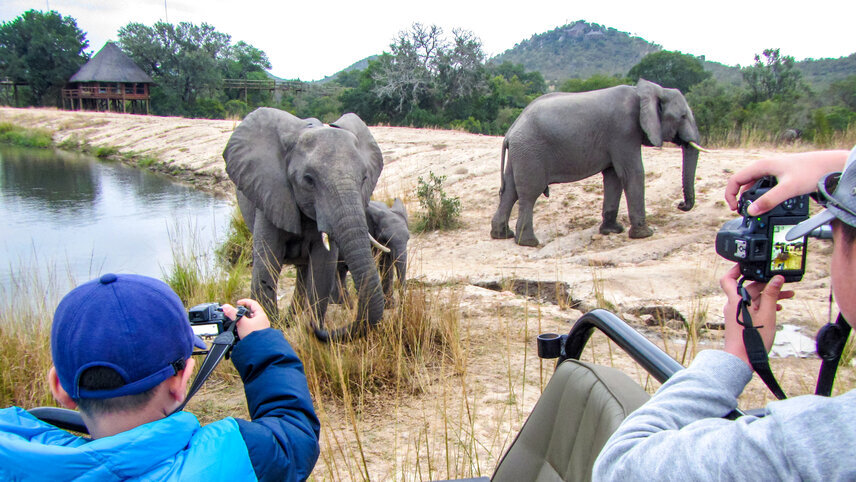 Essential Kruger Safari - Family Adventure