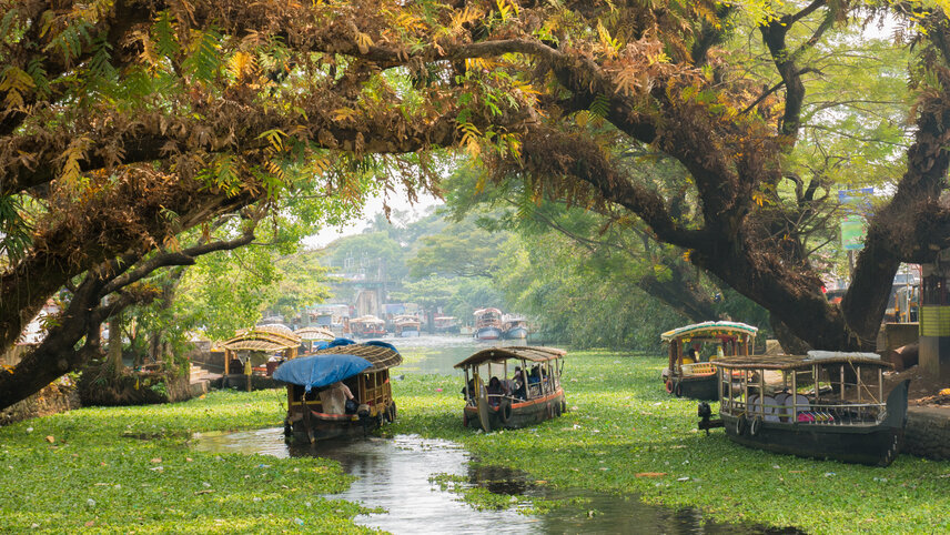 Highlights of Kerala - Family Adventure