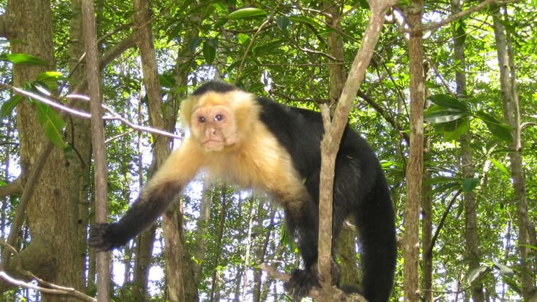 Costa Rica Adventure Family Holiday